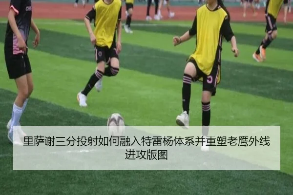 里萨谢三分投射如何融入特雷杨体系并重塑老鹰外线进攻版图