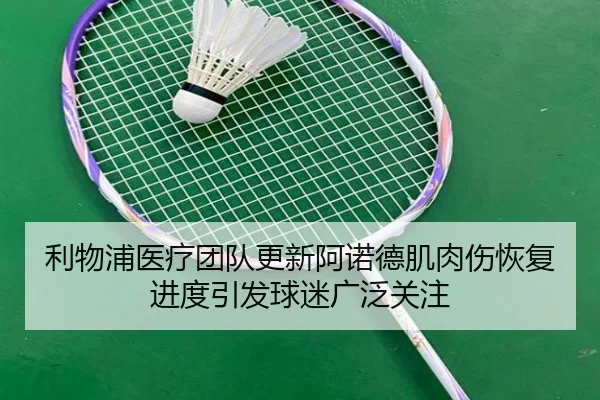 利物浦医疗团队更新阿诺德肌肉伤恢复进度引发球迷广泛关注