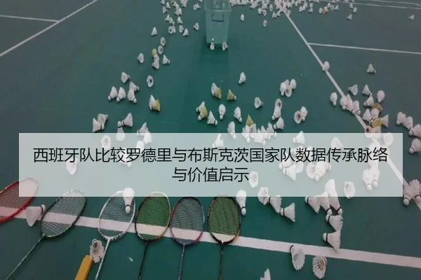西班牙队比较罗德里与布斯克茨国家队数据传承脉络与价值启示